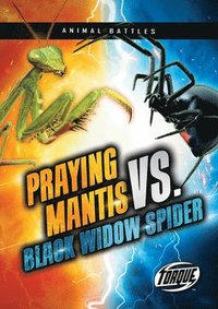 bokomslag Praying Mantis vs. Black Widow Spider