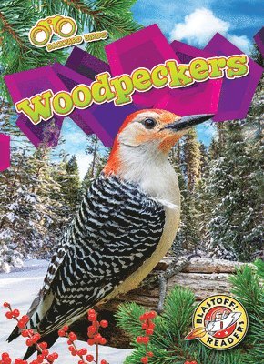 bokomslag Woodpeckers