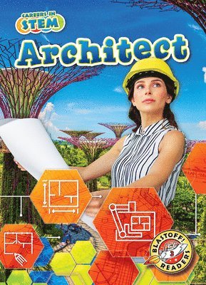 bokomslag Architect