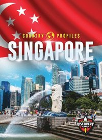 bokomslag Singapore