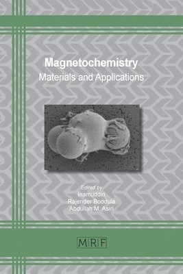 Inamuddin, Rajender Boddula, Abdullah M Asiri, Inamuddin,, Abdullah M. Asiri - Magnetochemistry, Häftad
