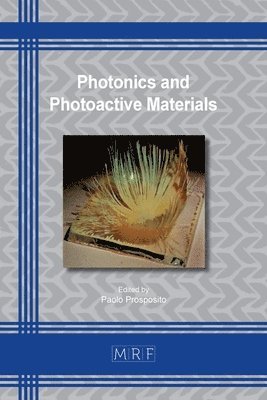 Paolo Prosposito - Photonics and Photoactive Materials, Häftad