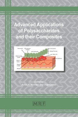 Amir Al-Ahmed, Inamuddin - Advanced Applications of Polysaccharides and their Composites, Häftad