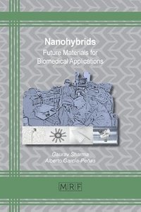 bokomslag Nanohybrids