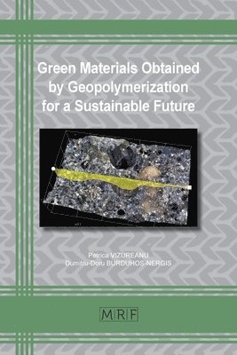 Petrica Vizureanu, Dumitru-Doru Burduhos-Nergis - Green Materials Obtained by Geopolymerization for a Sustainable Future, Häftad