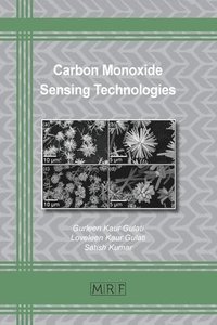 bokomslag Carbon Monoxide Sensing Technologies