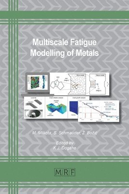 Multiscale Fatigue Modelling of Metals 1