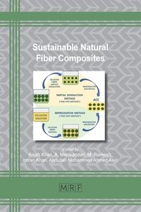 bokomslag Sustainable Natural Fiber Composites