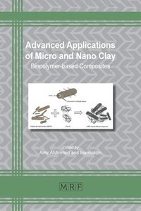 bokomslag Advanced Applications of Micro and Nano Clay
