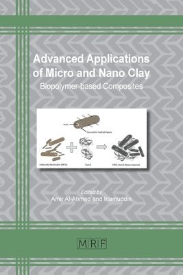 Advanced Applications of Micro and Nano Clay 1