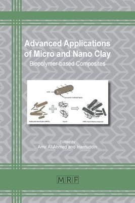 Amir Al-Ahmed, Inamuddin - Advanced Applications of Micro and Nano Clay, Häftad