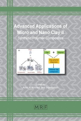 Inamuddin, Amir Al-Ahmed - Advanced Applications of Micro and Nano Clay II, Häftad