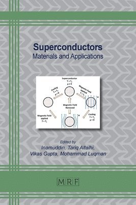 Inamuddin, Tariq Altalhi, Vikas Gupta - Superconductors, Häftad