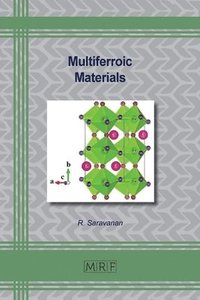 bokomslag Multiferroic Materials