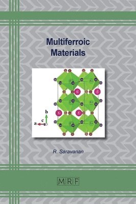 R Saravanan, R. Saravanan - Multiferroic Materials, Häftad