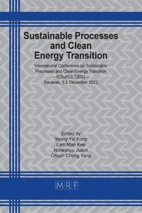 bokomslag Sustainable Processes and Clean Energy Transition
