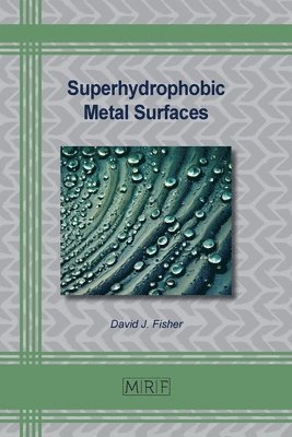 bokomslag Superhydrophobic Metal Surfaces