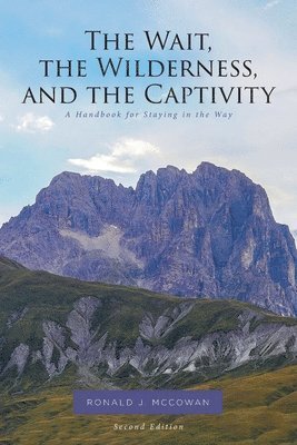 The Wait, the Wilderness, and the Captivity 1