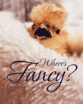 Where's Fancy? 1