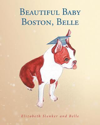 Beautiful Baby Boston, Belle 1