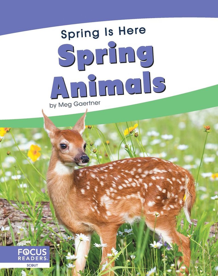 Meg Gaertner - Spring Animals, Inbunden