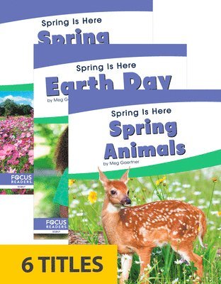 Spring Is Here (Set of 6)
