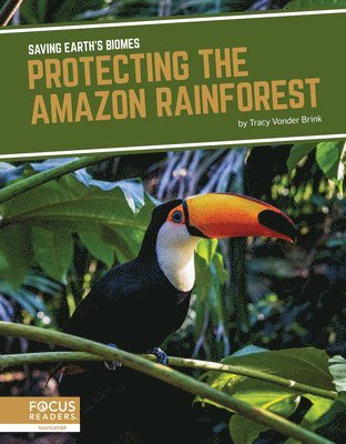 bokomslag Protecting the Amazon Rainforest