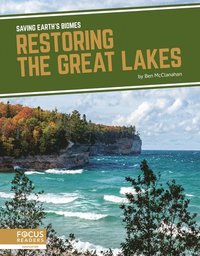 bokomslag Restoring the Great Lakes