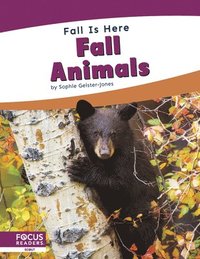 bokomslag Fall is Here: Fall Animals