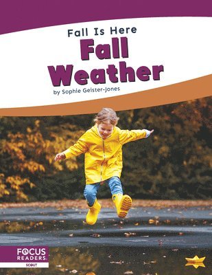 bokomslag Fall Weather