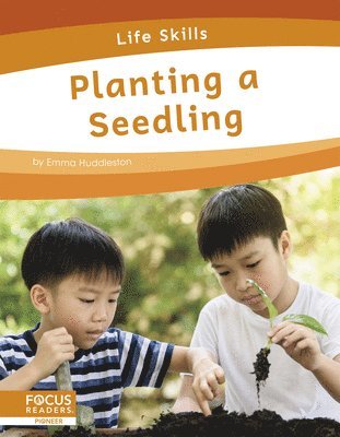 Planting a Seedling 1