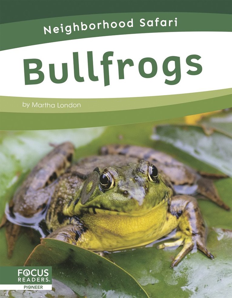 Martha London - Bullfrogs, Inbunden