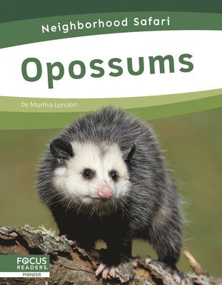 bokomslag Opossums