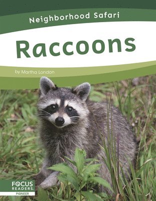 Martha London - Raccoons, Inbunden