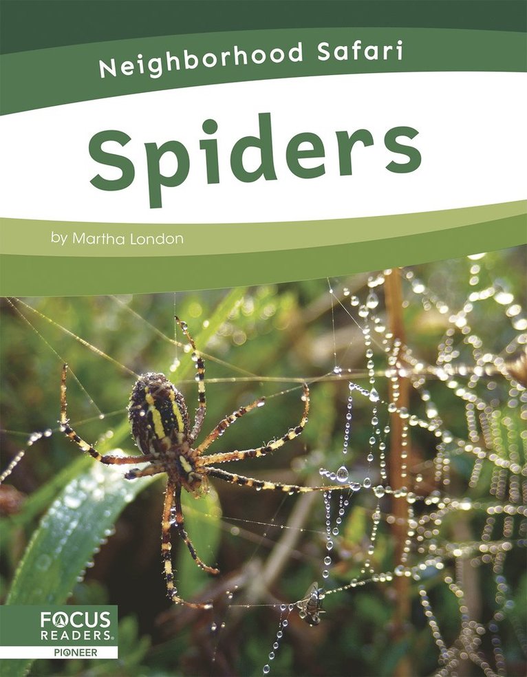 Martha London - Spiders, Inbunden