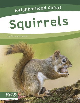 Martha London - Squirrels, Inbunden