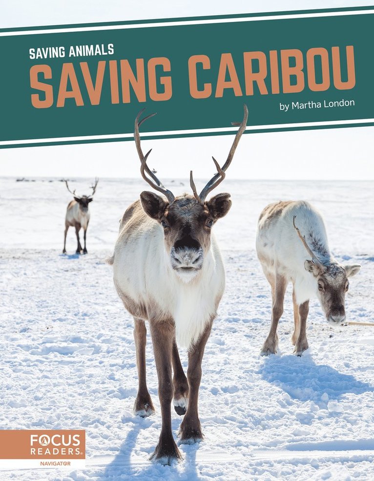Martha London - Saving Caribou, Inbunden