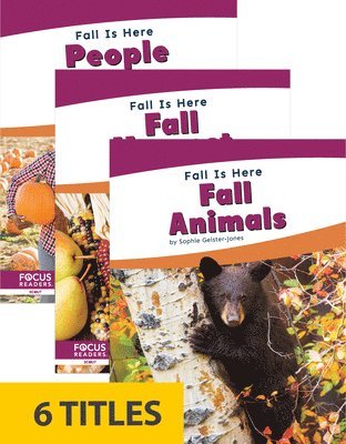 Fall Is Here (Set of 6)