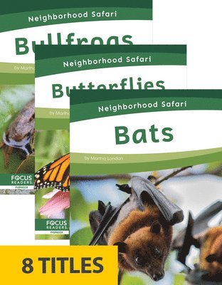 Neighborhood Safari (Set of 8)