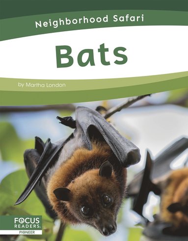 bokomslag Bats