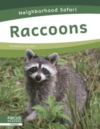 bokomslag Raccoons