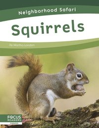 bokomslag Squirrels