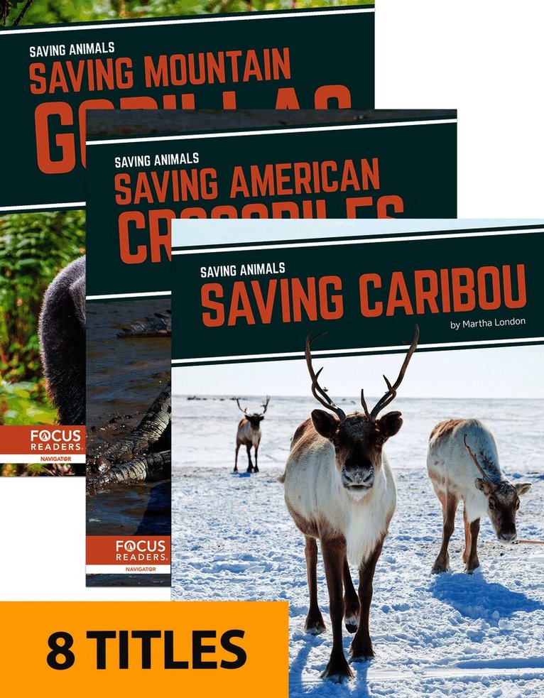 Saving Animals (Set of 6)