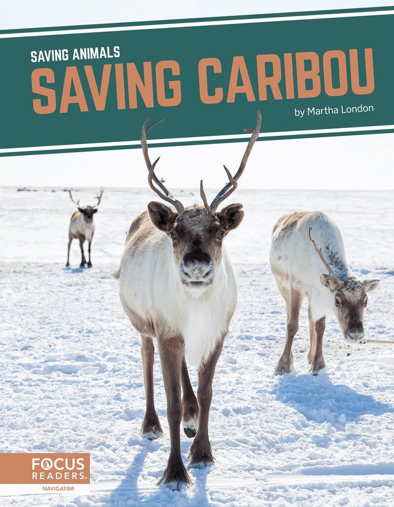 Martha London - Saving Caribou, Häftad