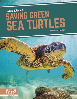 bokomslag Saving Green Sea Turtles