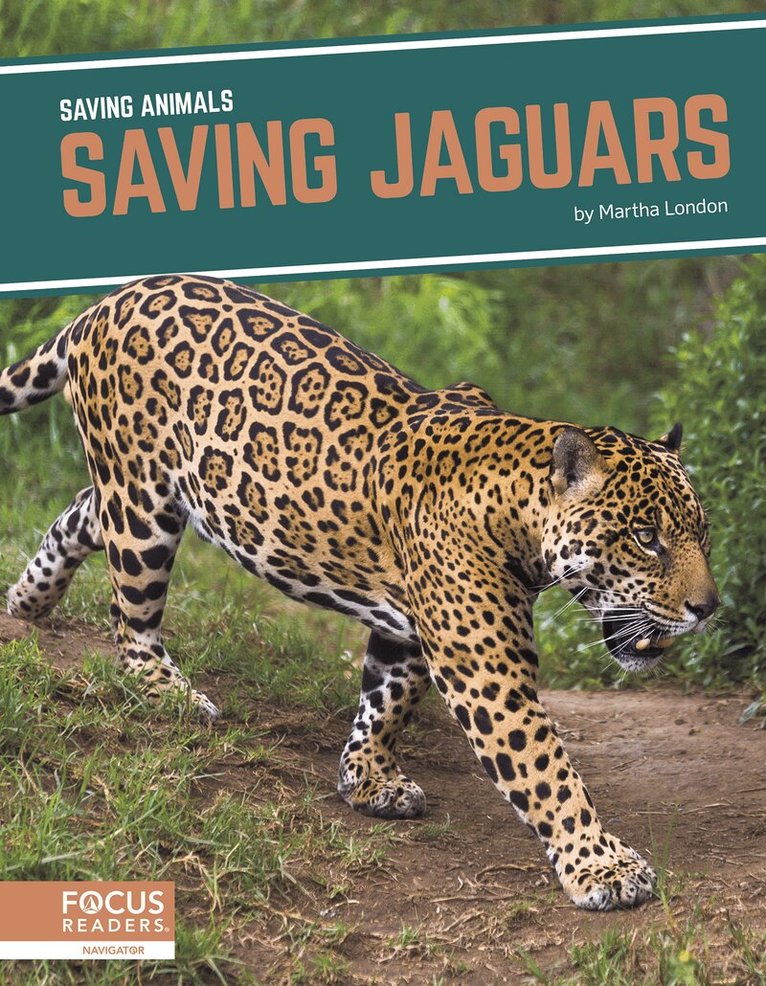 Martha London - Saving Jaguars, Häftad