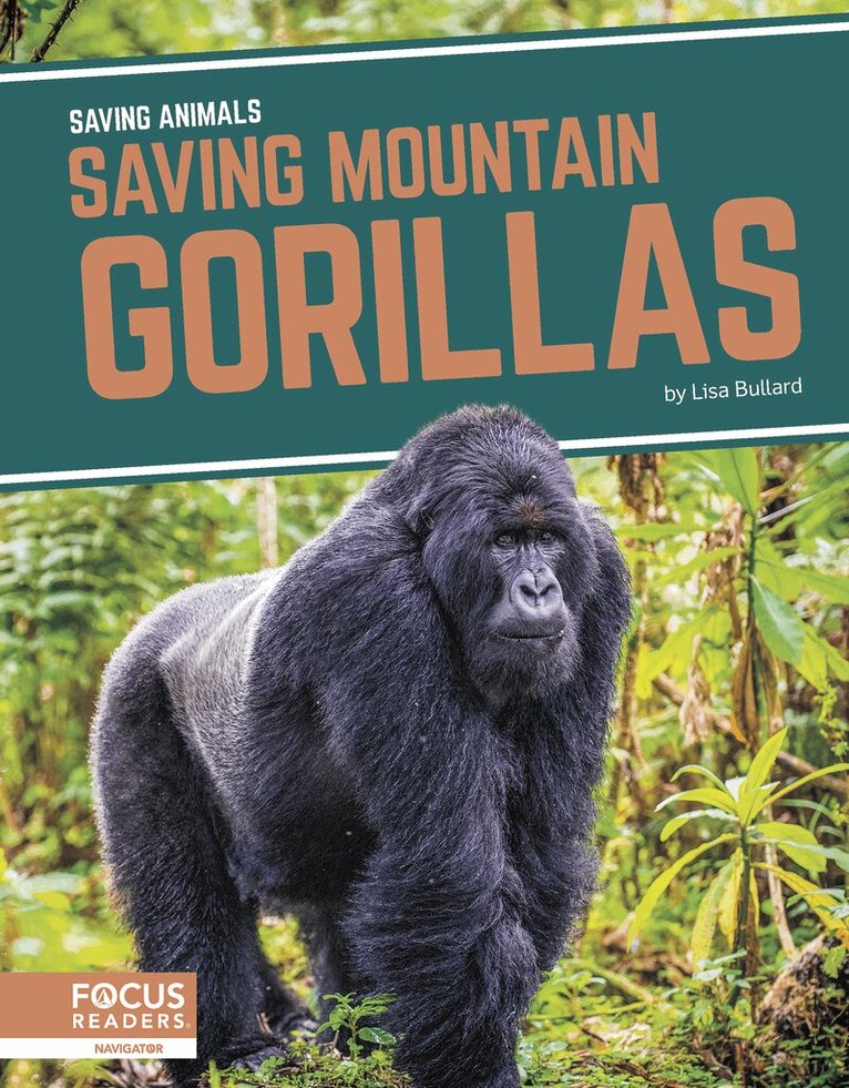 Lisa Bullard - Saving Mountain Gorillas, Häftad