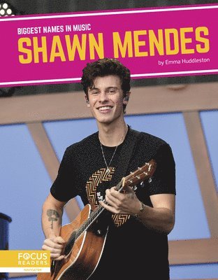 bokomslag Shawn Mendes