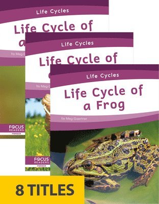 LIFE CYCLES (SET OF 8)