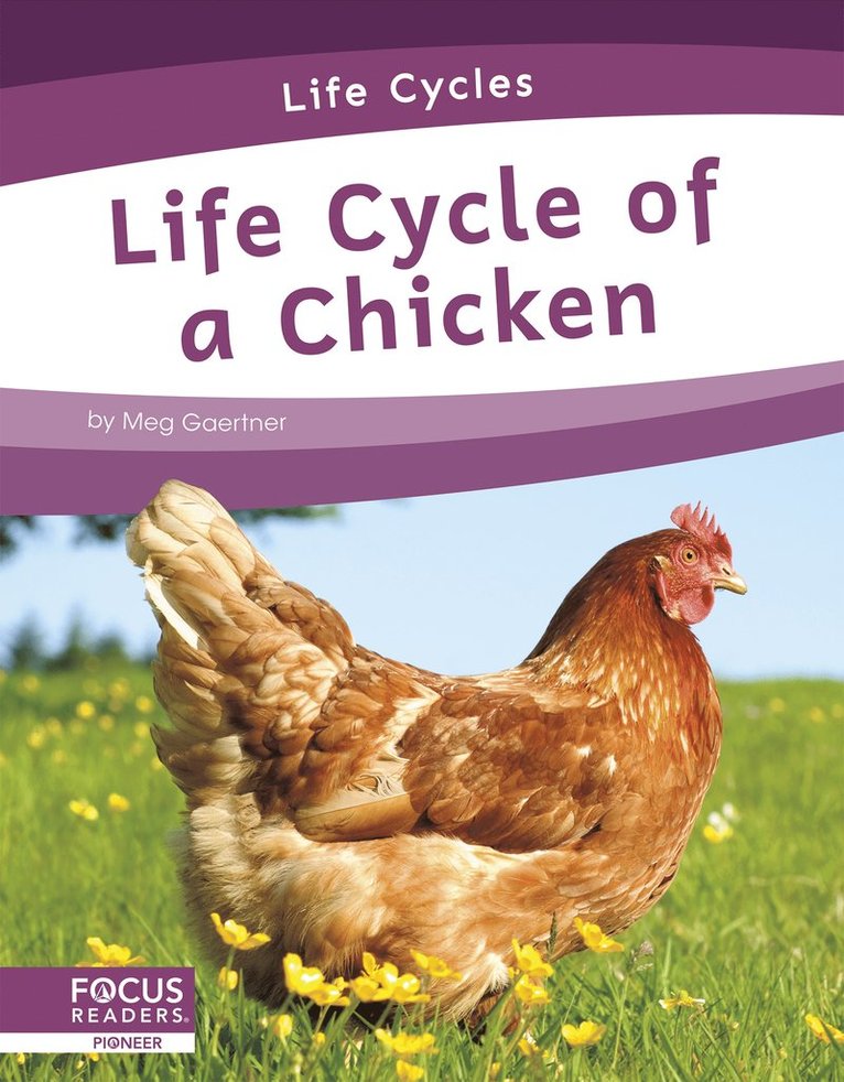 Meg Gaertner - Life Cycle of a Chicken, Inbunden